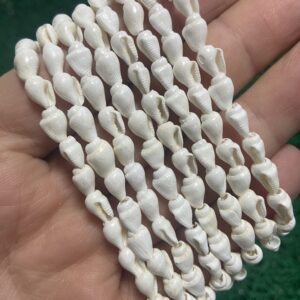 Beyaz Deniz Kabuğu 5 MM