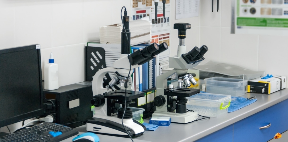 Orijinal Kehribarı Anlamanın Yolları