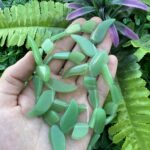 Yaprak Sarmaşık Aventurin Taşı