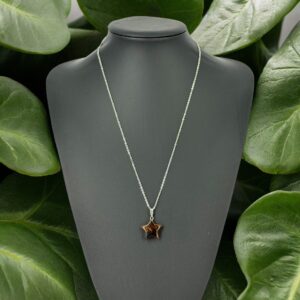 Yıldız Kaplan Gözü Taşı Kolye