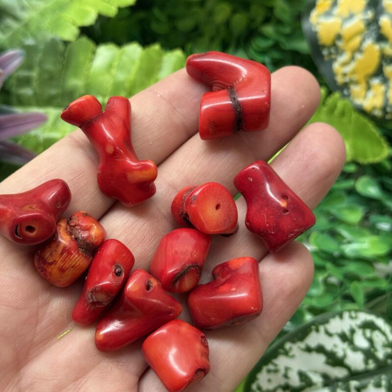 Adetli Dal Mercan Tasi 2