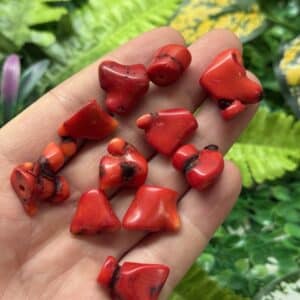 Adetli Dal Mercan Tasi