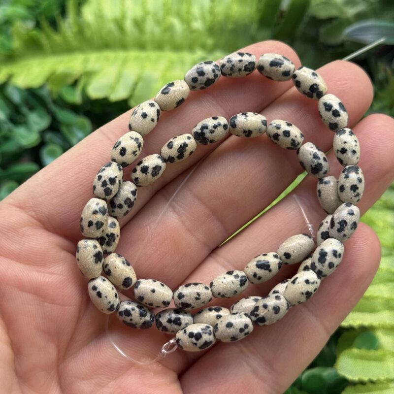 Arpa Dalmacya Jasper Tasi 6x9 Mm 2 Arpa Dalmacya Jasper Tasi 6x9 Mm 2