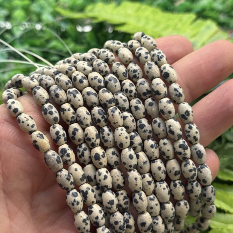 Arpa Dalmacya Jasper Tasi 6x9 Mm Arpa Dalmacya Jasper Tasi 6x9 Mm