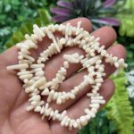 Beyaz Dis Mercan Tasi