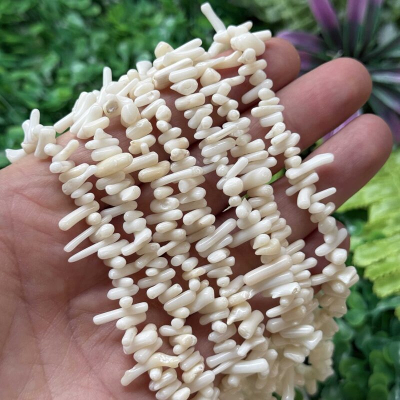 Beyaz Dis Mercan Tasi 2