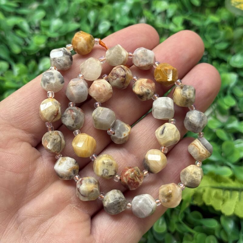 Burgu Kure Fosil Mercan Tasi 10 Mm Burgu Kure Fosil Mercan Tasi 10 Mm