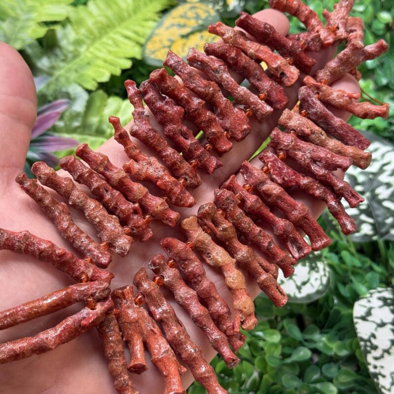 Cubuk Akdeniz Mercan Tasi 2 3 Cm 2 Cubuk Akdeniz Mercan Tasi 2 3 Cm 2