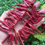 Cubuk Dogal Mercan Tasi 3 Cm 2