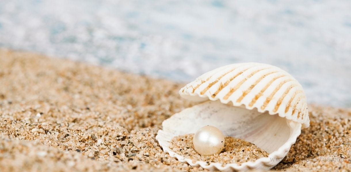 Dogal İnci Nedir Ozellikleri Anlami Faydalari Fiyatlari Ve Kullanimi