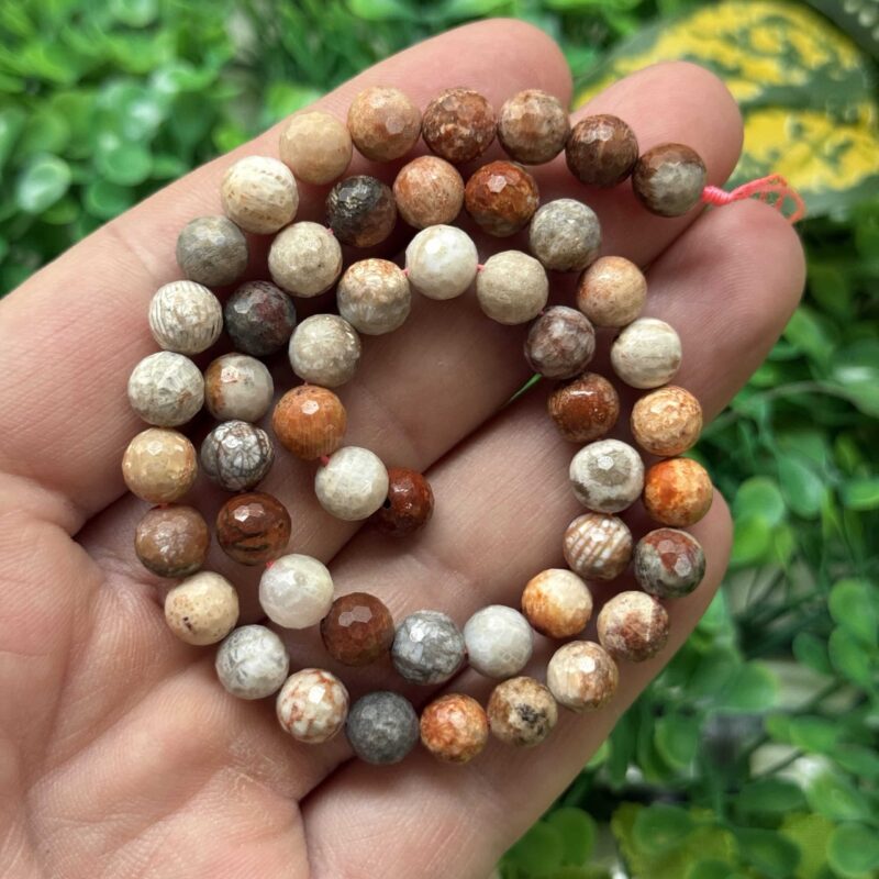 Fasetli Kure Fosil Mercan Tasi 8 Mm 2 Fasetli Kure Fosil Mercan Tasi 8 Mm 2