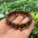 Kaplan Gözü Taşı Bileklik