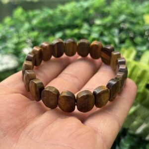 Kaplan Gözü Taşı Bileklik