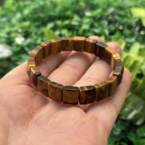 Kaplan Gözü Taşı Bileklik