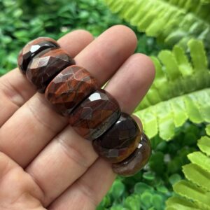 Kaplan Gözü Taşı Bileklik