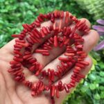 Kirmizi Dis Mercan Tasi 2