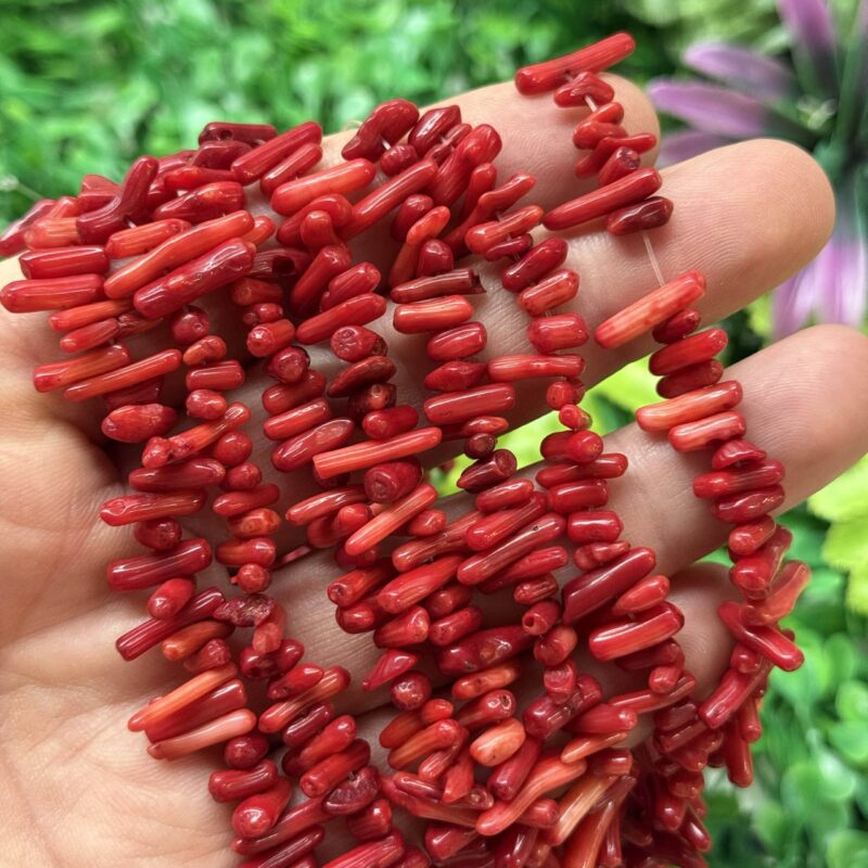 Kirmizi Dis Mercan Tasi