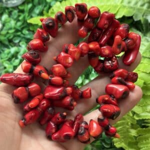 Kok Dal Mercan Tasi 1 3 Cm