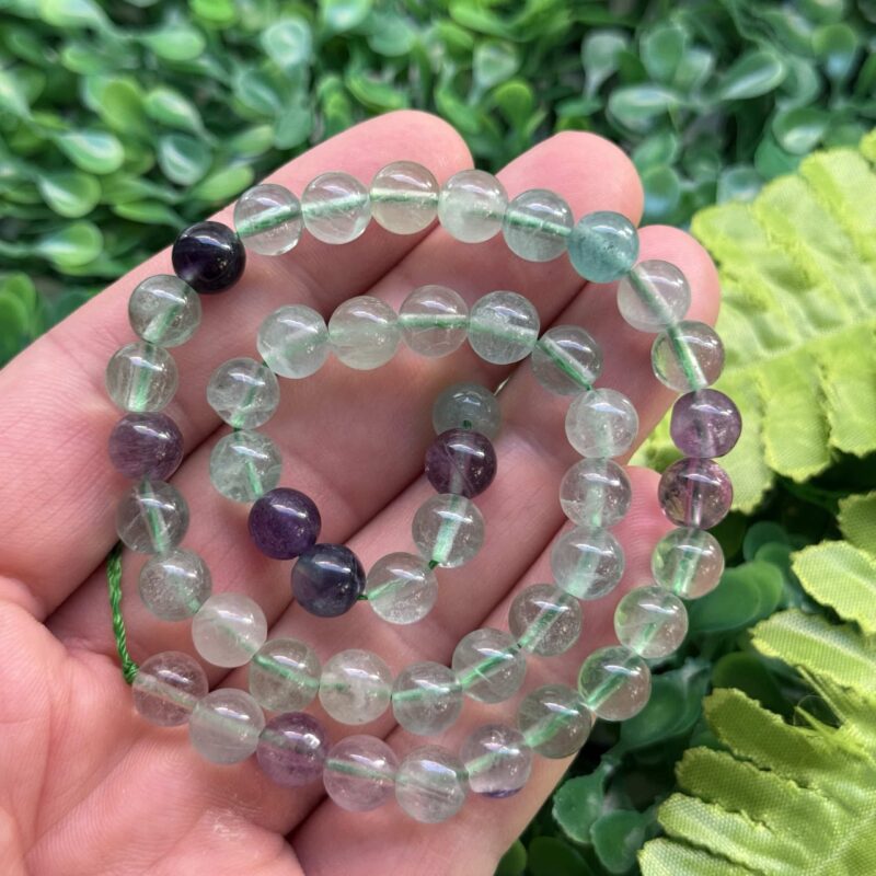 Kure Florit Tasi 8 Mm