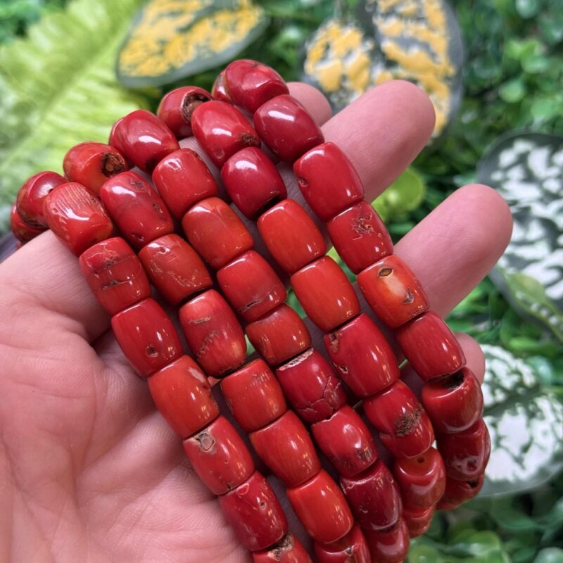 Oval Silindir Mercan Tasi 10x12 Mm 2 Oval Silindir Mercan Tasi 10x12 Mm 2