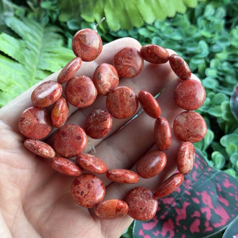 Oval Tablet Akdeniz Mercan Tasi 16 Mm 3 Oval Tablet Akdeniz Mercan Tasi 16 Mm 3