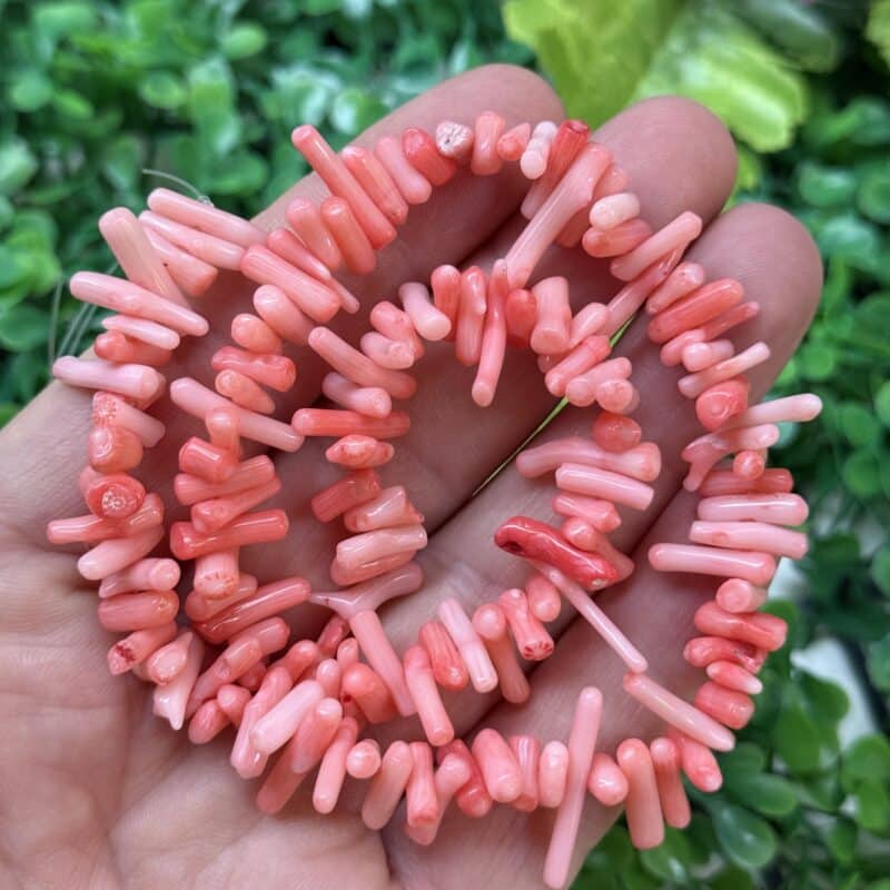 Pembe Dis Mercan Tasi 2