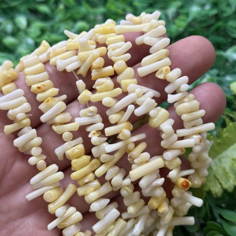 Sari Dis Mercan Tasi 2