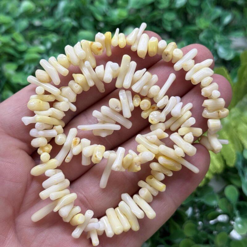 Sari Dis Mercan Tasi