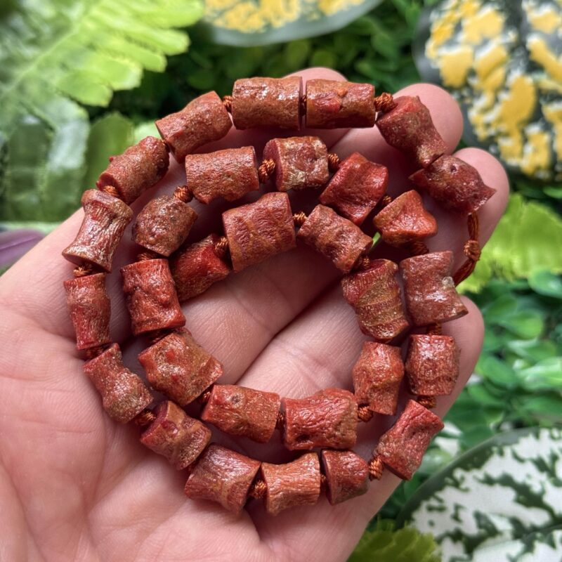 Silindir Akdeniz Mercan Tasi 10 Mm Silindir Akdeniz Mercan Tasi 10 Mm