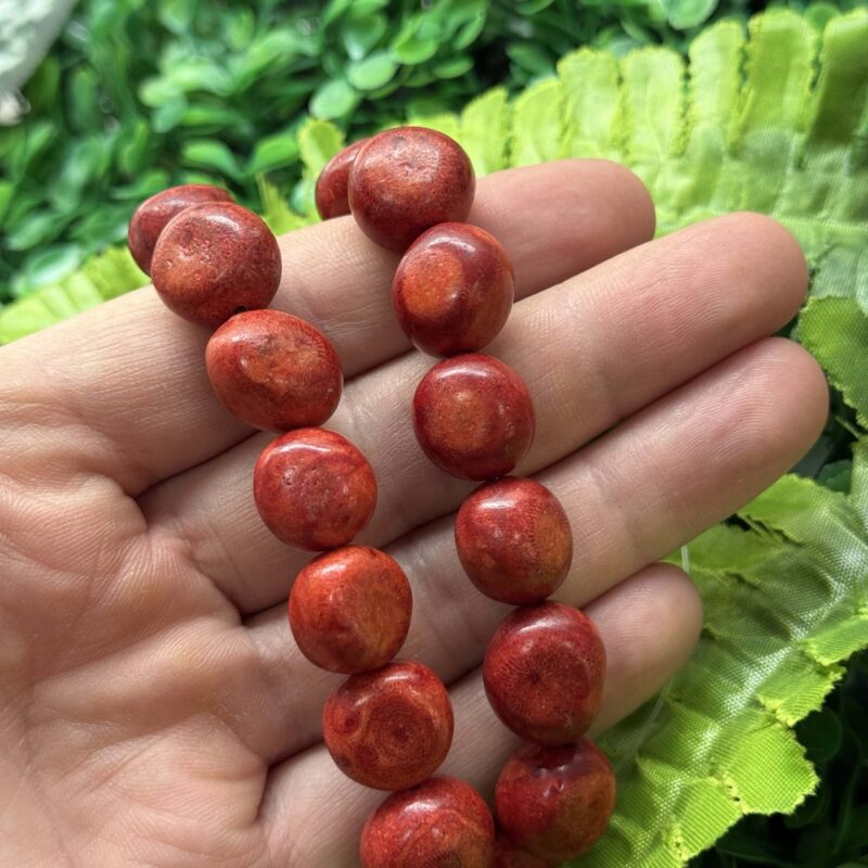 Topak Akdeniz Mercan Tasi 16 Mm