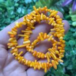 Turuncu Dis Mercan Tasi