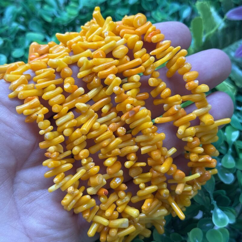 Turuncu Dis Mercan Tasi 2