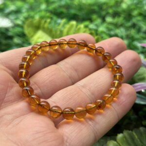 Yetişkin Kehribar Bileklik