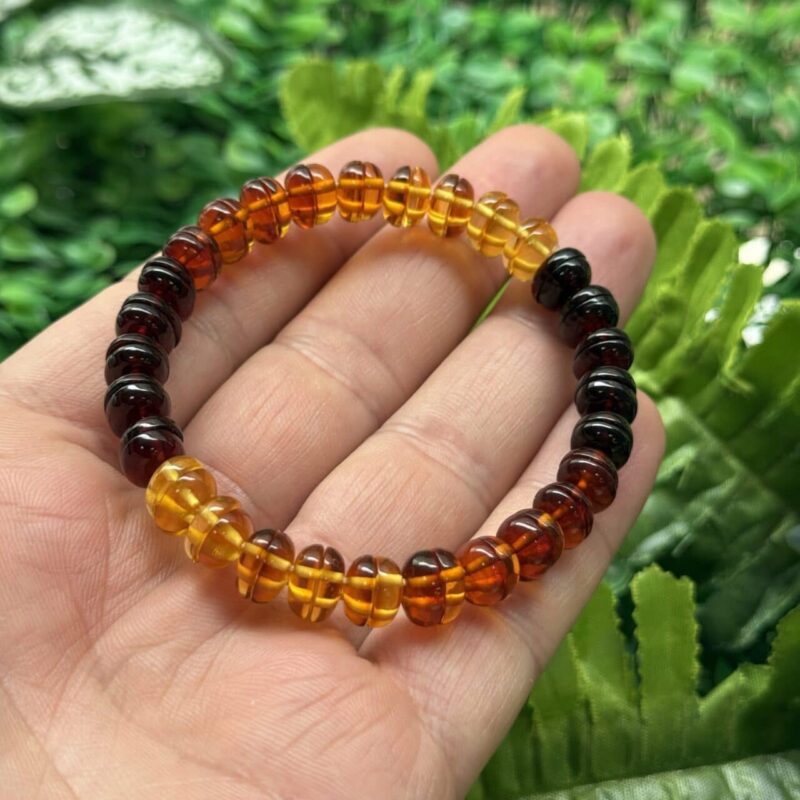 Yetişkin Kehribar Bileklik