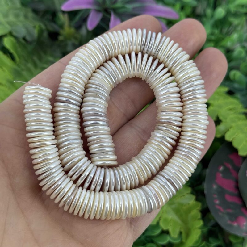 Disk Mayorka İncisi 12x2 Mm 2