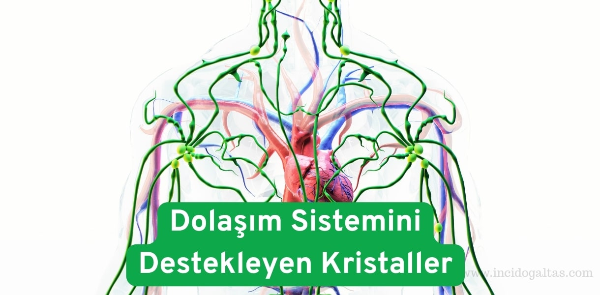 Dolasim Sistemini Destekleyen Kristaller