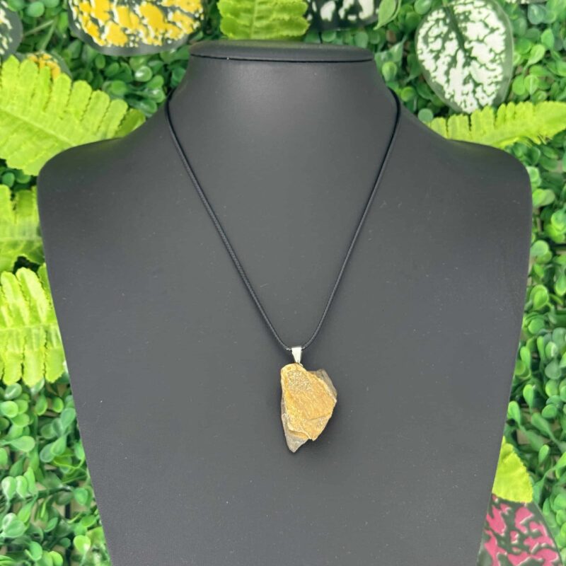 Ham Kayac Kaplan Gozu Tasi Kolye