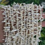 Toplu Sarkit Barok Dogal İnci 6 Mm